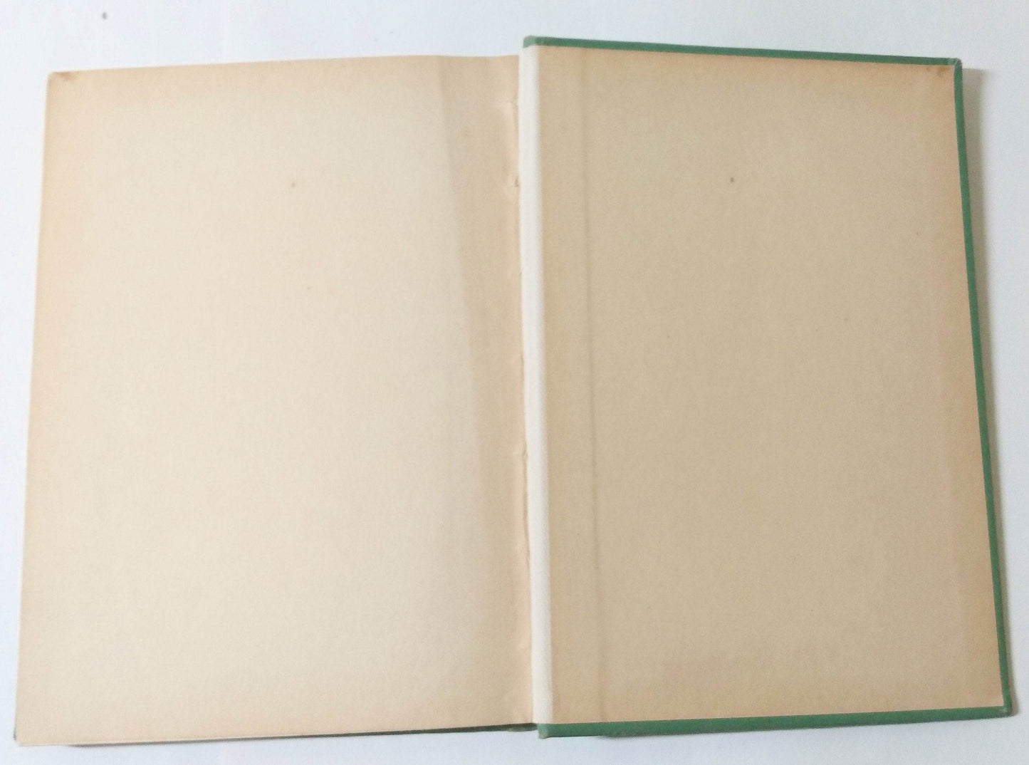 Boys And Girls Of Wake-up Town Andress 4-5th Grade Health Reader 1924 - TulipStuff