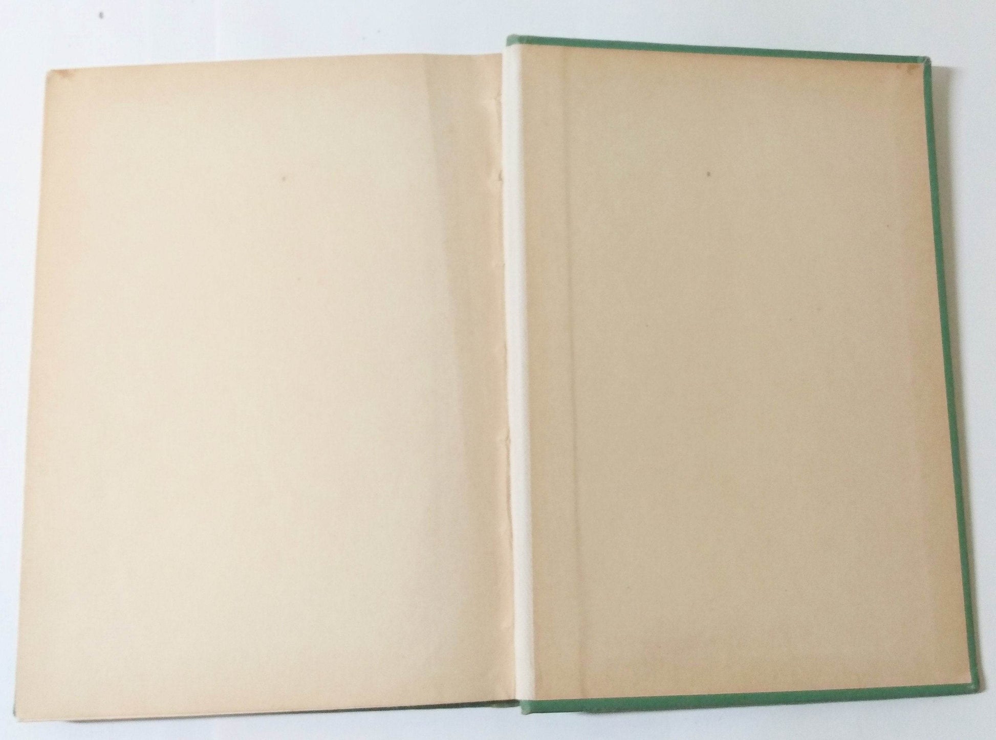 Boys And Girls Of Wake-up Town Andress 4-5th Grade Health Reader 1924 - TulipStuff