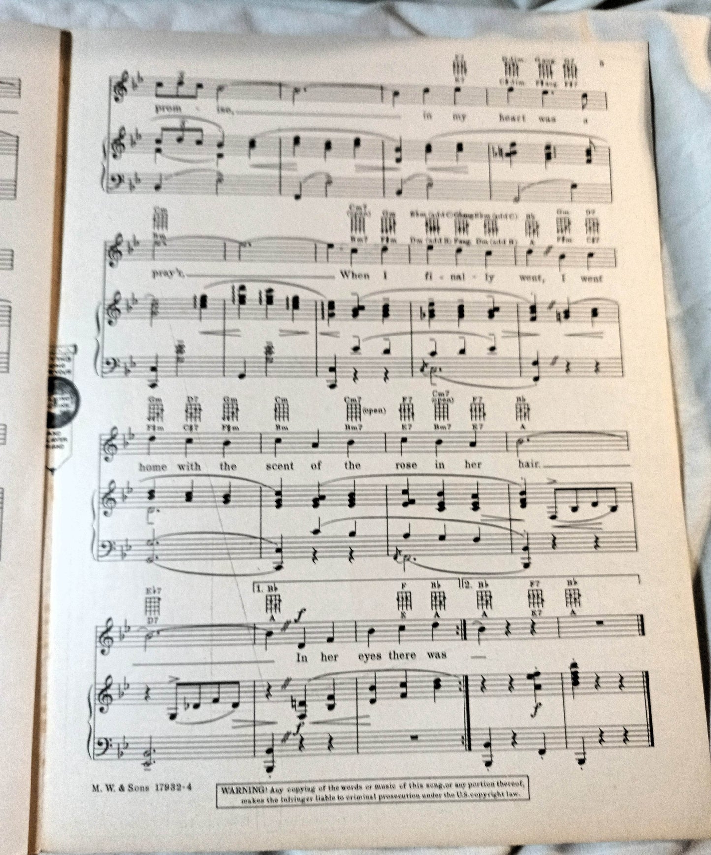 The Rose In Her Hair Broadway Gondolier Dick Powell Sheet Music 1935 - TulipStuff