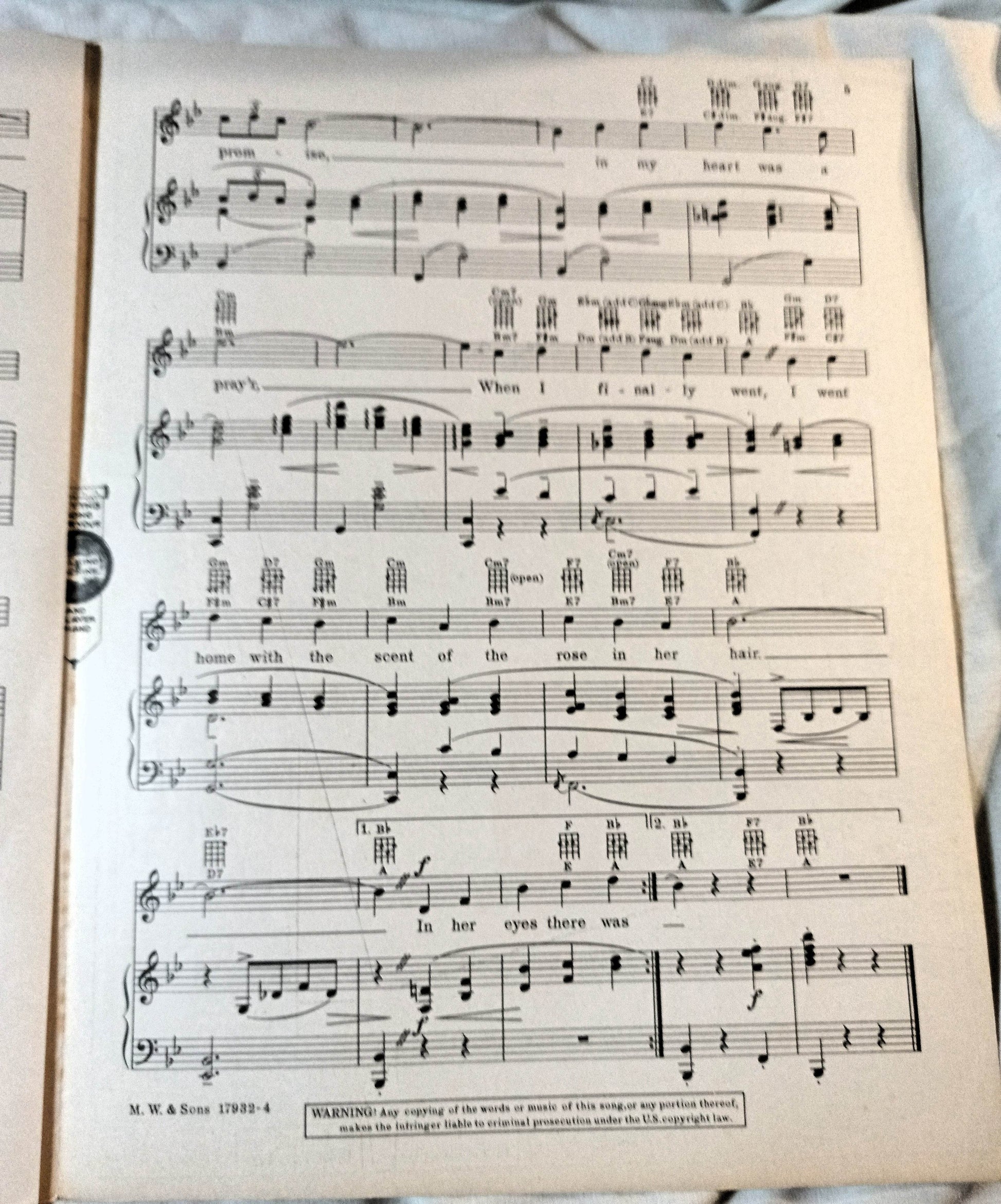 The Rose In Her Hair Broadway Gondolier Dick Powell Sheet Music 1935 - TulipStuff