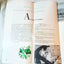 Canada Steamship Lines 1959 ss Tadoussac ss St Lawrence ss Richelieu - TulipStuff