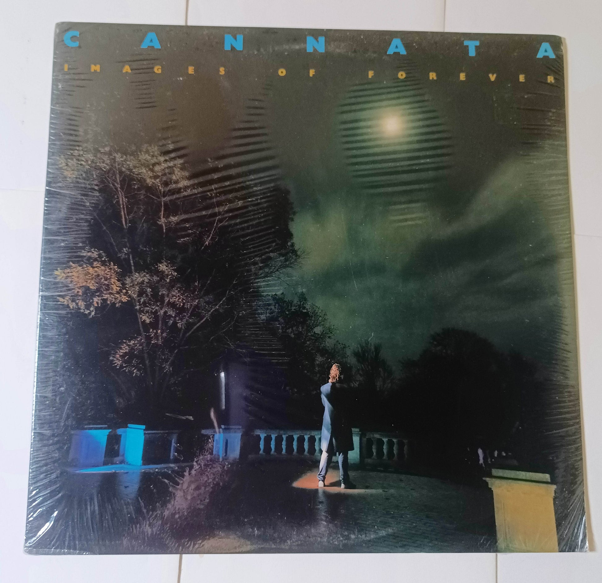 Cannata Images Of Forever AOR Prog Rock 12" Vinyl Album LP 1988 Sealed - TulipStuff