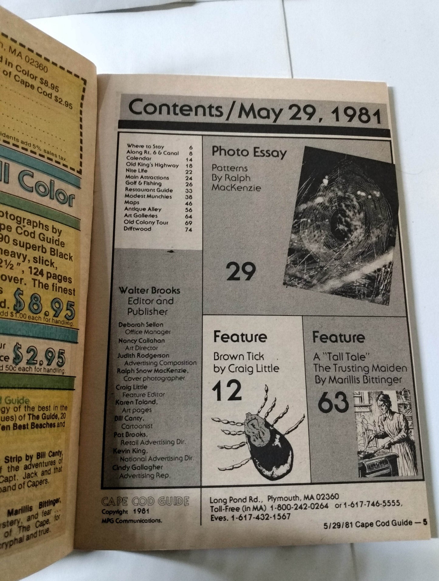 Cape Cod Guide May 29 1981 Calendar Art Food Antiques What-To-Do - TulipStuff