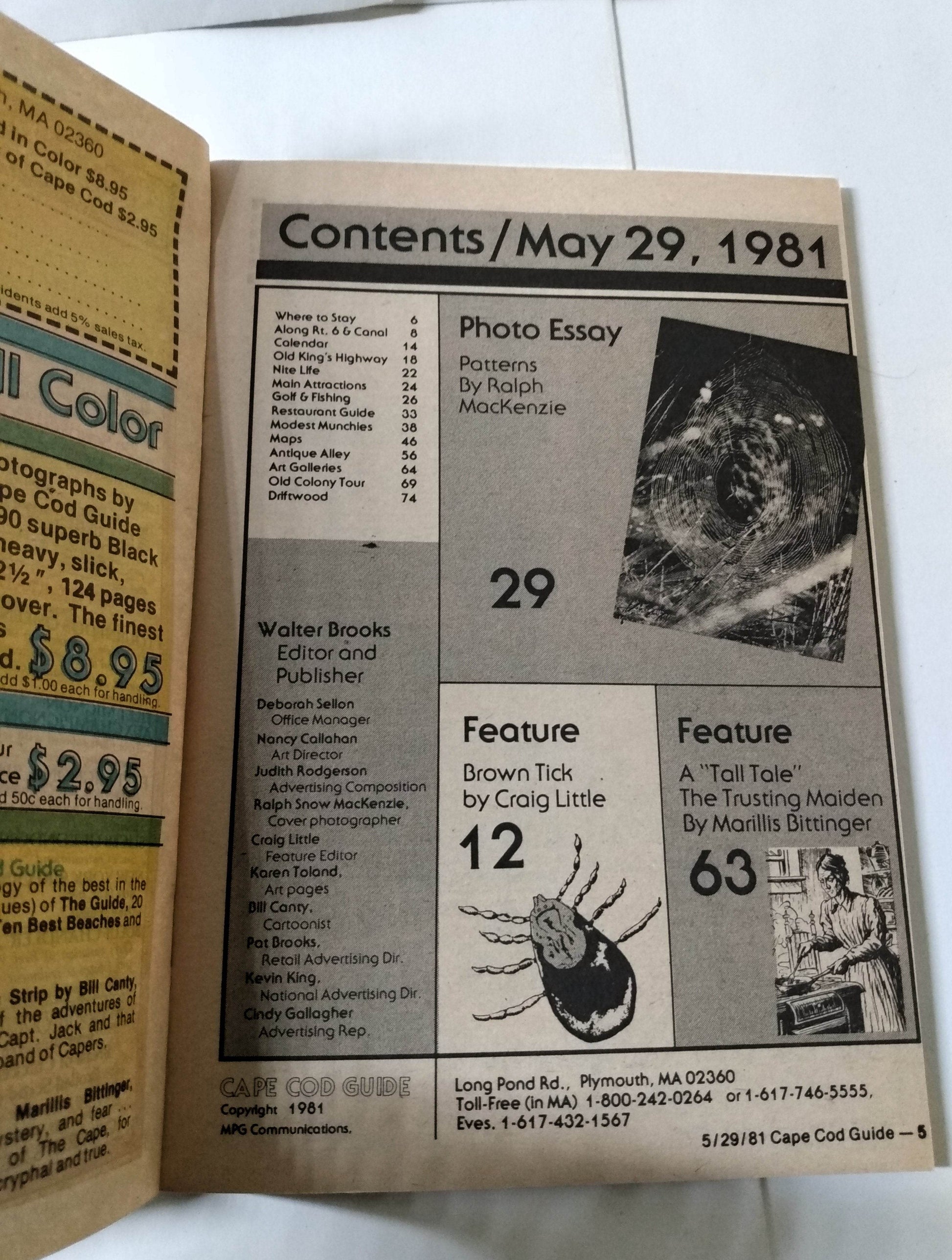 Cape Cod Guide May 29 1981 Calendar Art Food Antiques What-To-Do - TulipStuff