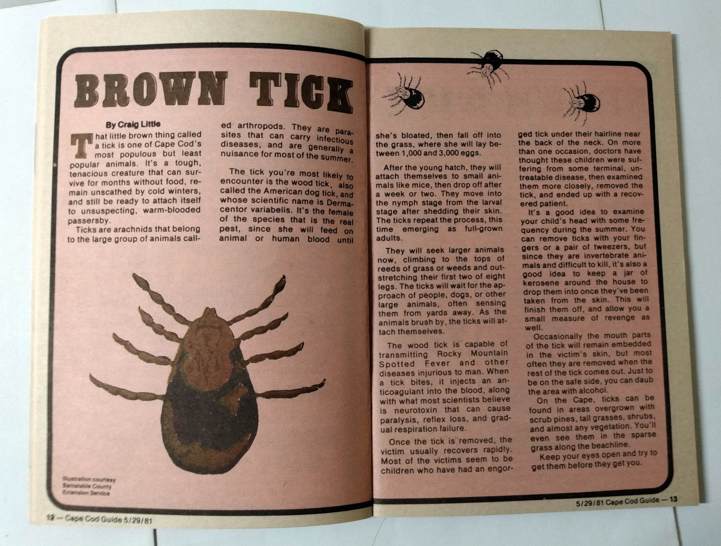 Cape Cod Guide May 29 1981 Calendar Art Food Antiques What-To-Do - TulipStuff