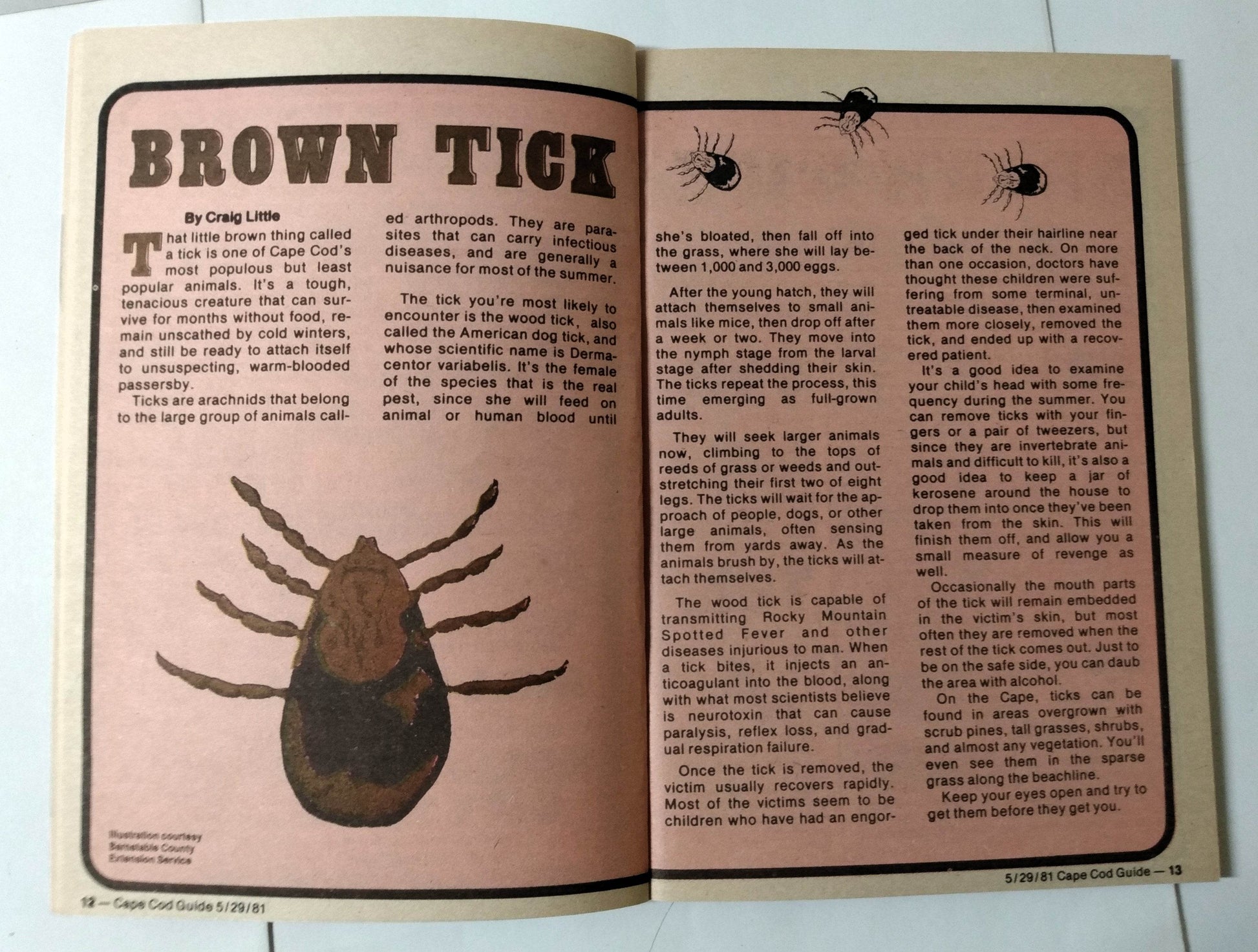 Cape Cod Guide May 29 1981 Calendar Art Food Antiques What-To-Do - TulipStuff