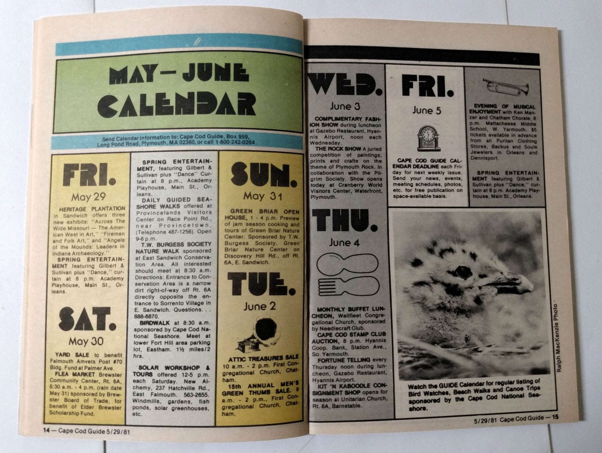 Cape Cod Guide May 29 1981 Calendar Art Food Antiques What-To-Do - TulipStuff