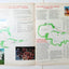 Carras Cruises mts Daphne Winter 1977-78 Caribbean Cruise Brochure - TulipStuff