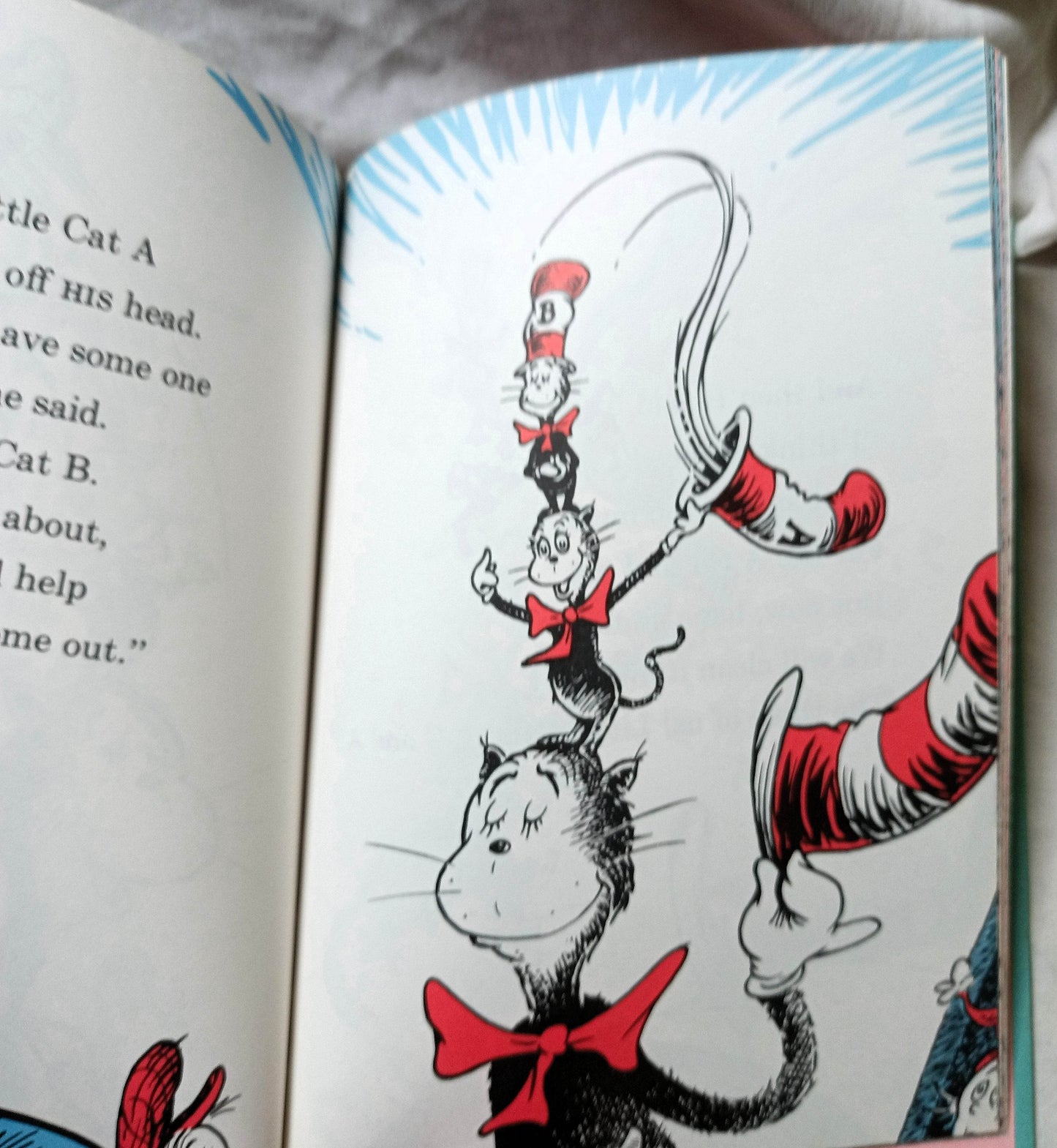 Dr Seuss The Cat In The Hat Comes Back Book Club Edition 1958 - TulipStuff