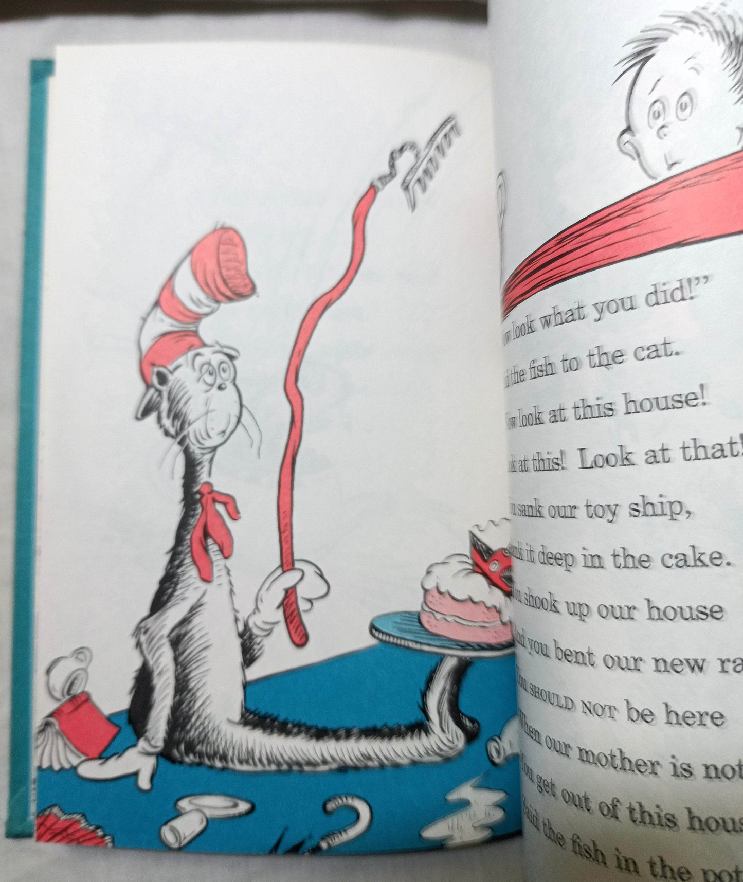 Dr Seuss The Cat In The Hat Book Club Edition Beginner Books 1957 - TulipStuff