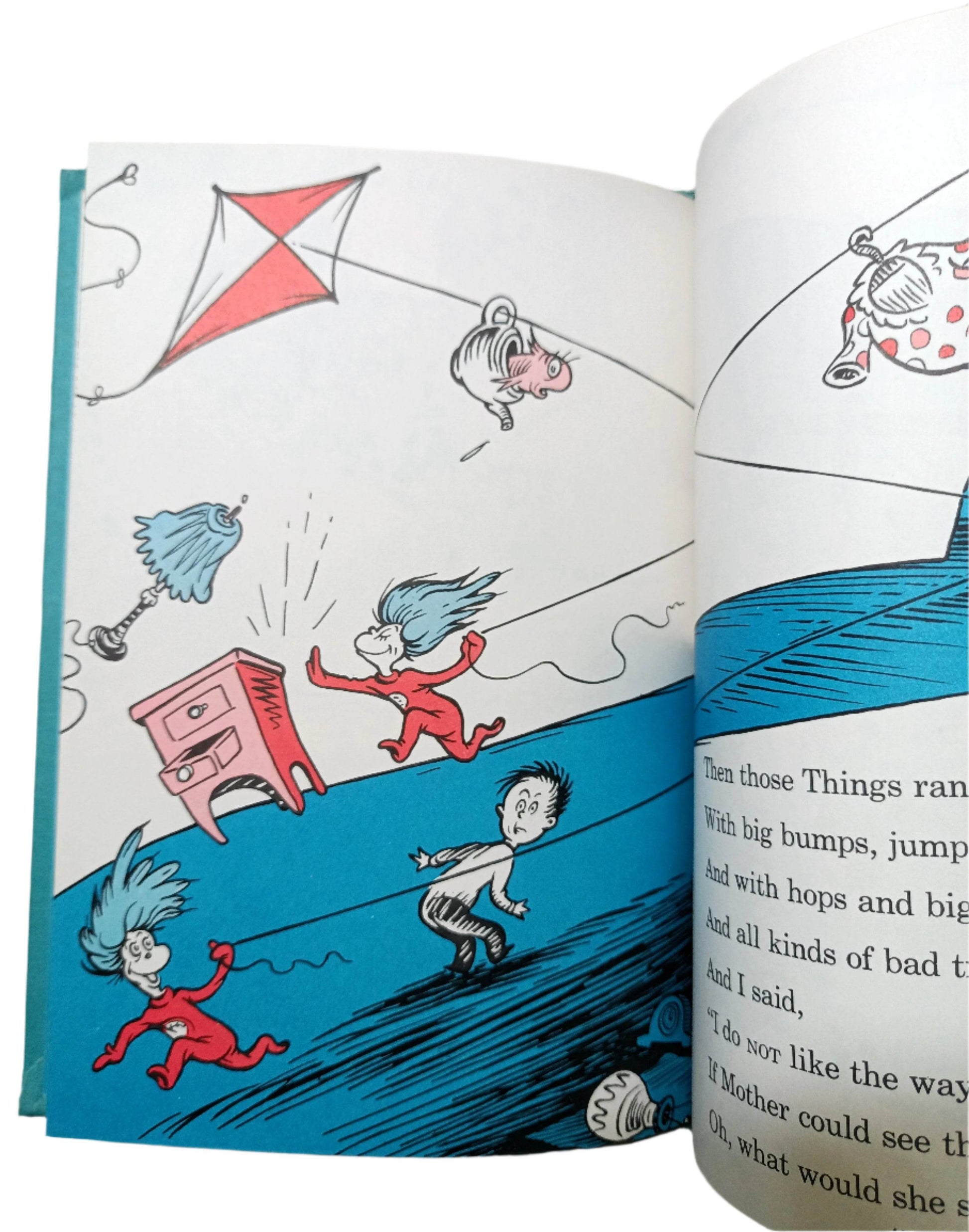 Dr Seuss The Cat In The Hat Book Club Edition Beginner Books 1957 - TulipStuff