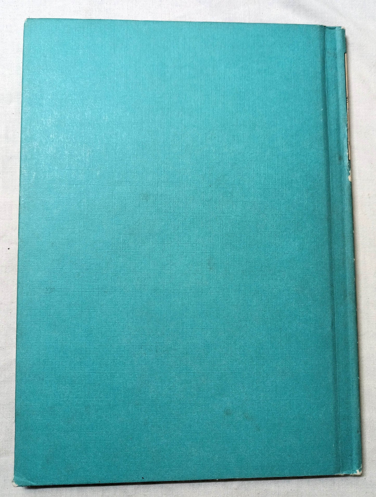 Dr Seuss The Cat In The Hat Book Club Edition Beginner Books 1957 - TulipStuff