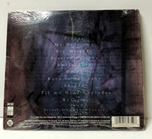 Load image into Gallery viewer, Chainsuck Angelscore Indie Rock Trip Hop Album CD Wax Trax 1996 - TulipStuff
