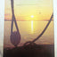 Chandris Cruises 1974 Mediterranean Black Sea Midnight Sun Cruises - TulipStuff