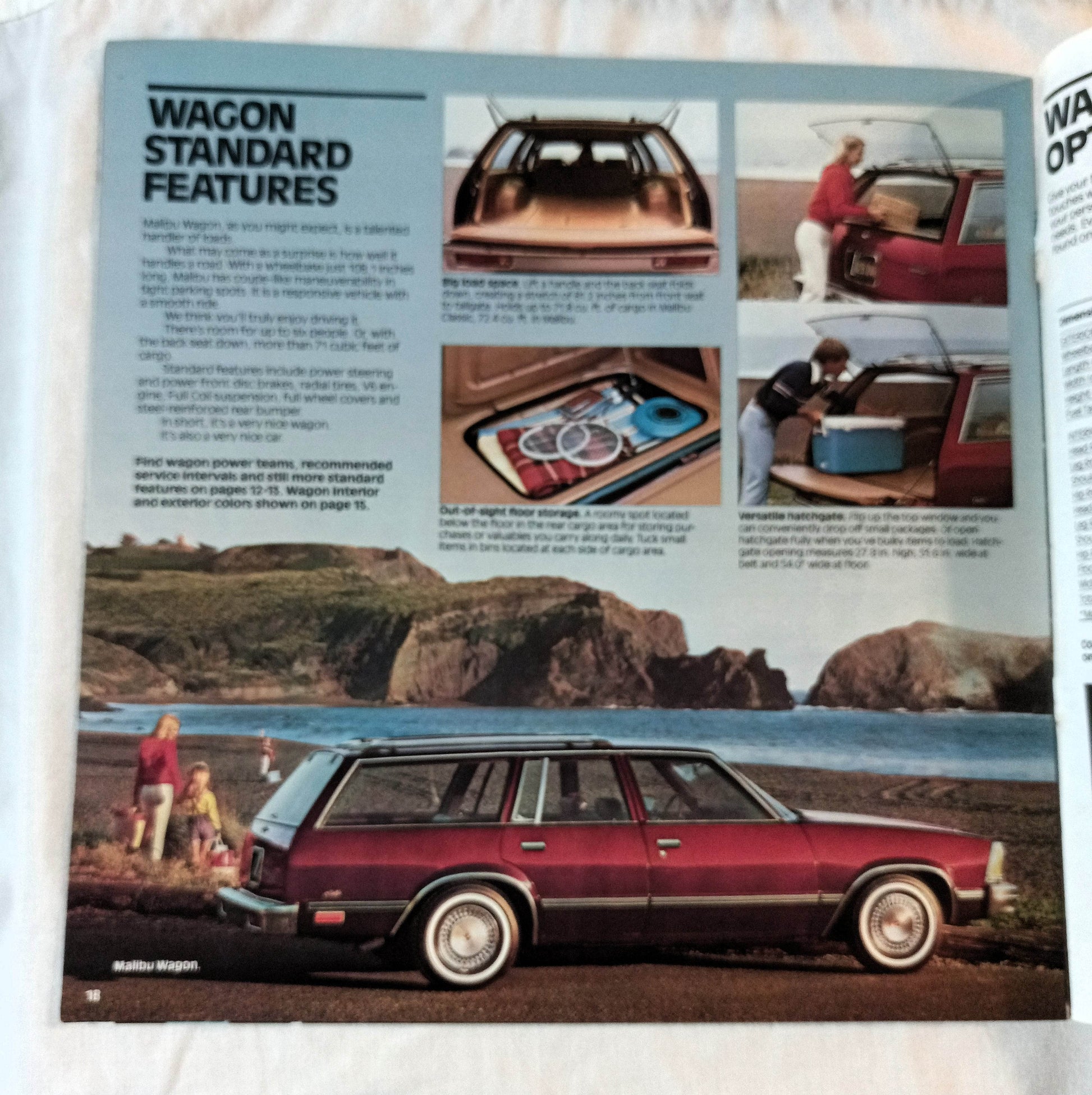 Chevrolet Malibu 1981 Sedan Coupe Wagon Dealer Sales Brochure - TulipStuff