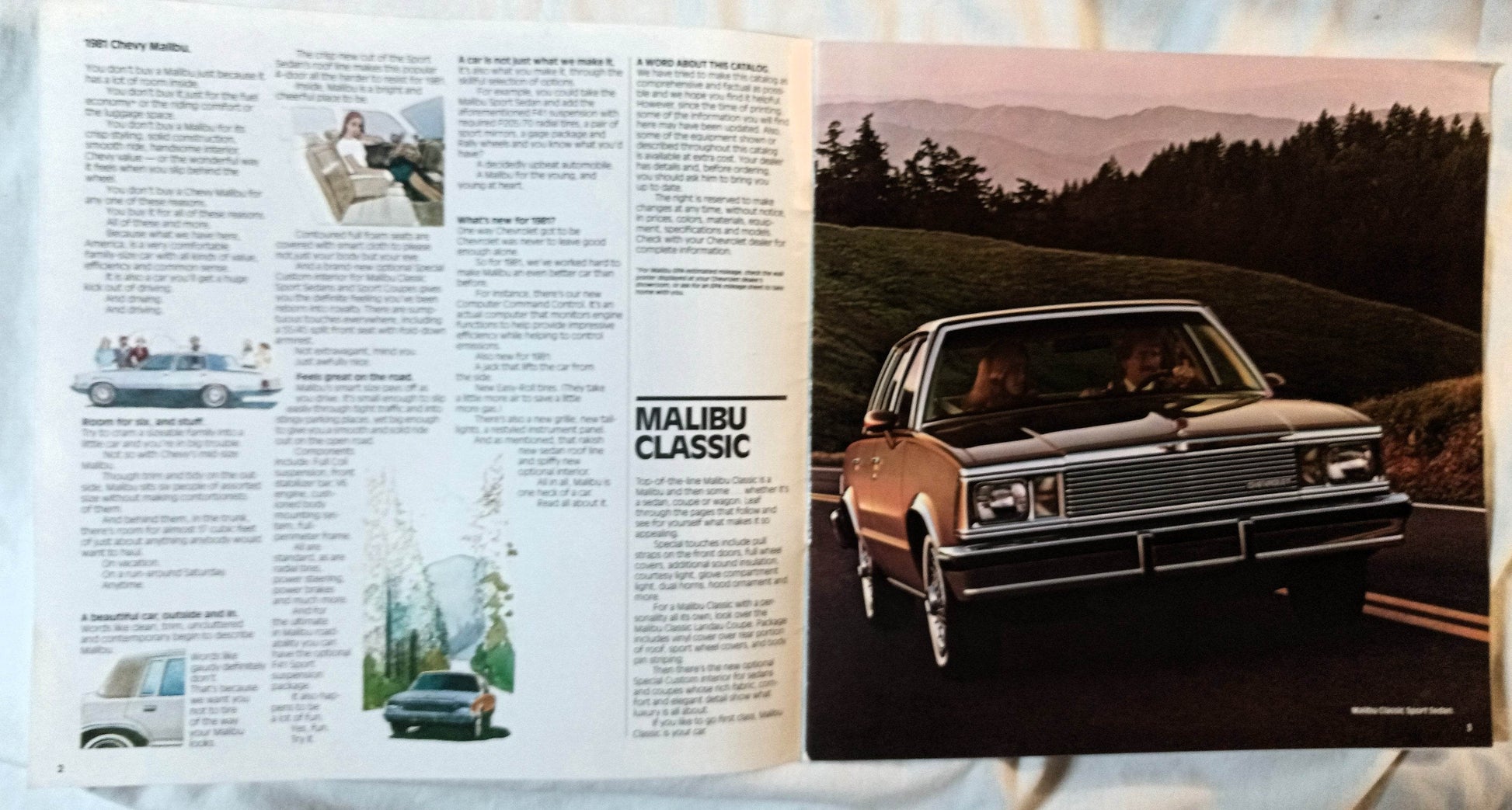Chevrolet Malibu 1981 Sedan Coupe Wagon Dealer Sales Brochure - TulipStuff