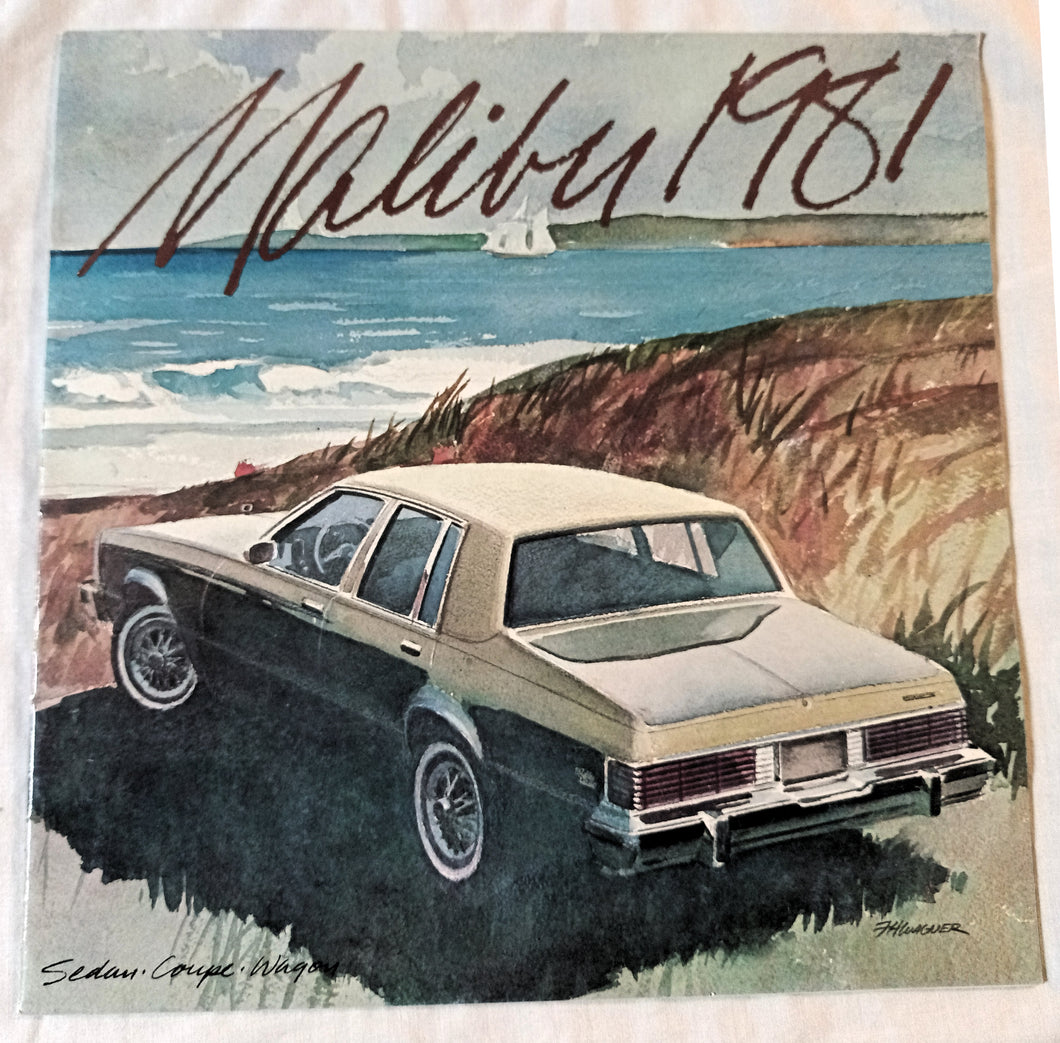 Chevrolet Malibu 1981 Sedan Coupe Wagon Dealer Sales Brochure - TulipStuff
