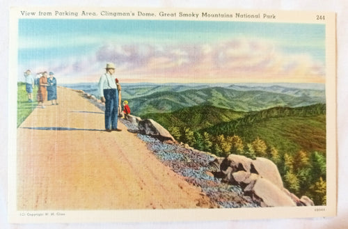 View From Clingman's Dome Great Smoky Mountains National Park 1940's - TulipStuff