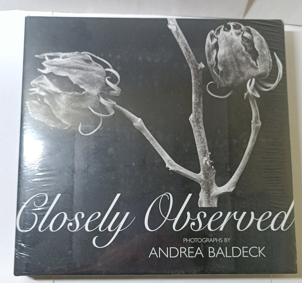 Closely Observed Botanical World Photographer Andrea Baldeck 2006 - TulipStuff