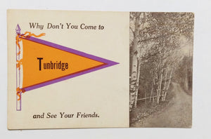 Why Don't You Come To Tunbridge And See Your Friends 1910's Postcard - TulipStuff