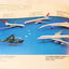 Corgi Toys 1980 Collector's Catalog UK Version Mettoy Playcraft England - TulipStuff