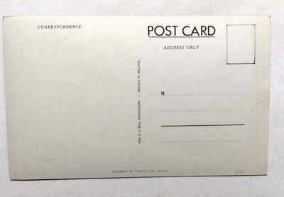 Coronation Statue St Patrick's Cross Rock Of Cashel Real Photo Postcard - TulipStuff