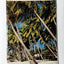 Costa Line Carla C 1975-76 Caribbean Cruises Brochure - TulipStuff