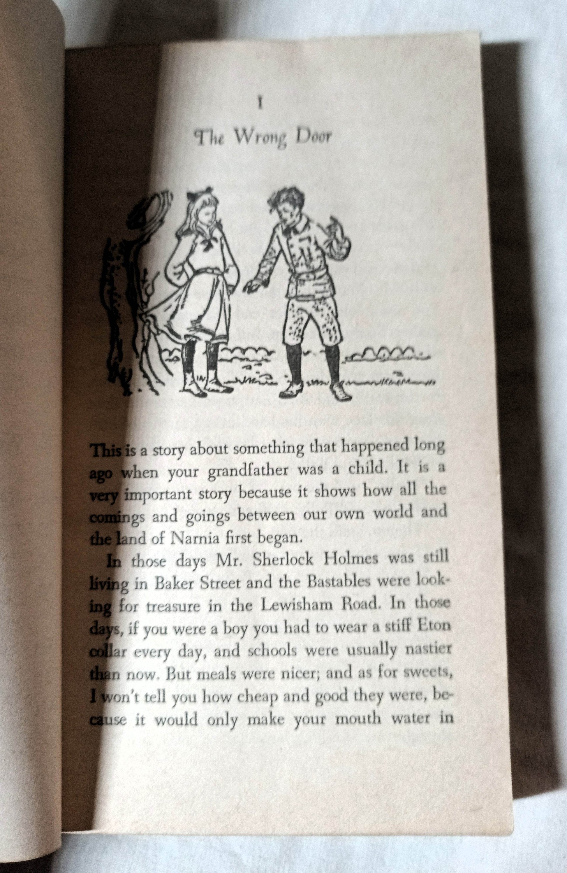 C.S. Lewis The Magician's Nephew Paperback Collier 1978 - TulipStuff