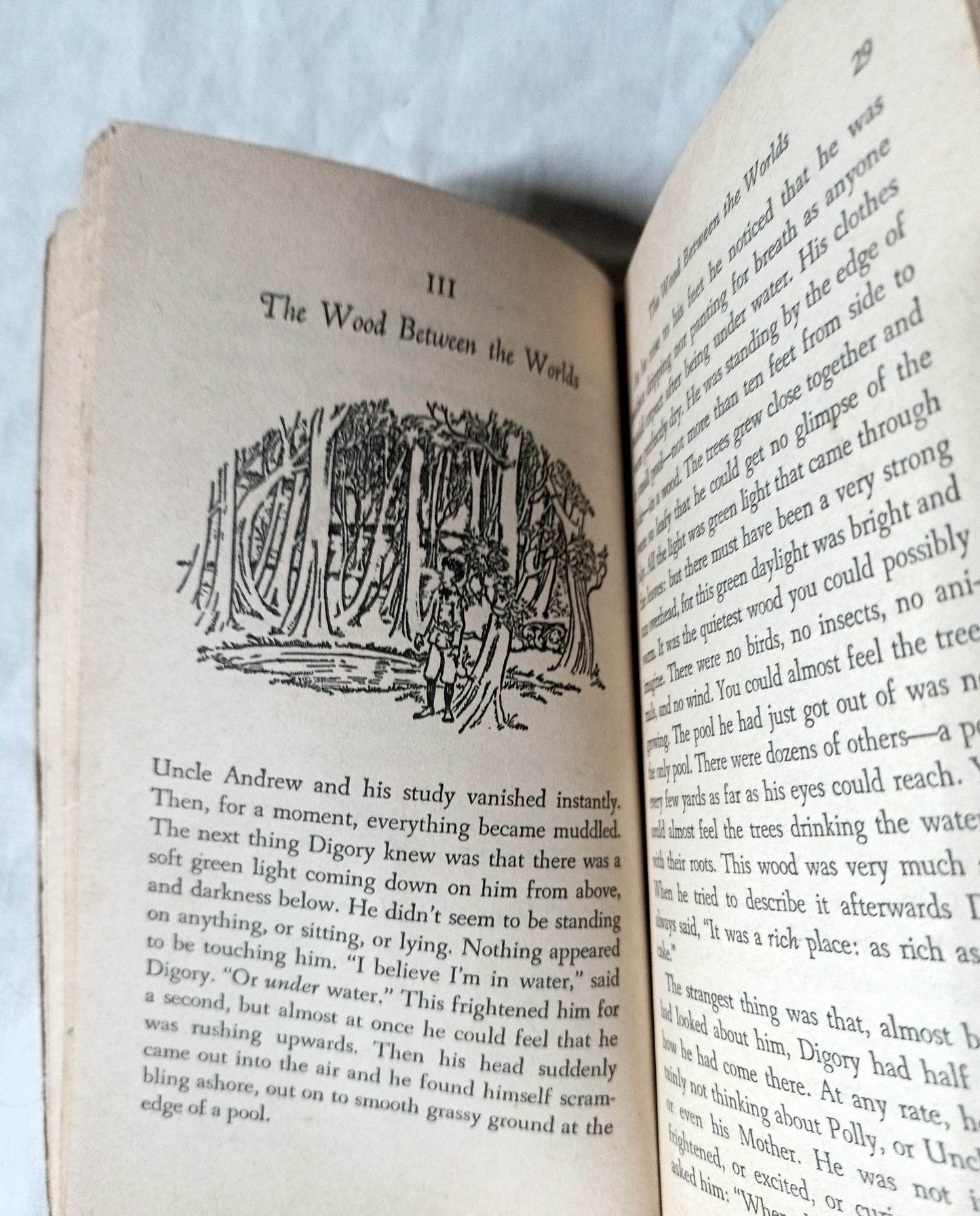 C.S. Lewis The Magician's Nephew Paperback Collier 1978 - TulipStuff