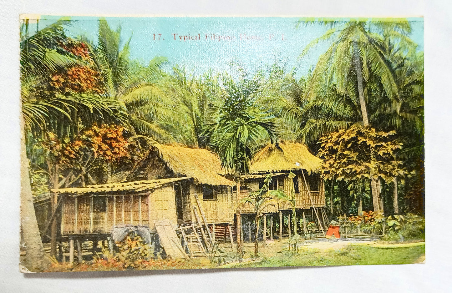 Philippines Typical Filipino House Dennistons Manila Hand Tinted 1910's - TulipStuff