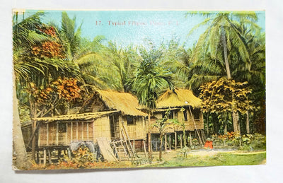 Philippines Typical Filipino House Dennistons Manila Hand Tinted 1910's - TulipStuff