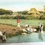 Philippines Traditional Laundry Women Our Lavenderas Manila 1910's - TulipStuff