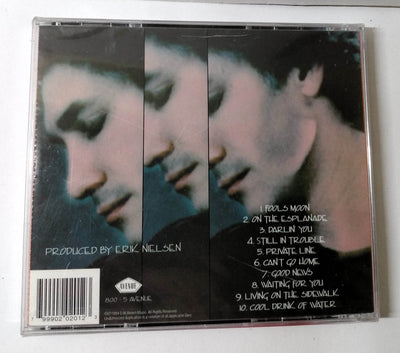 Denny Brown Still In Trouble Blues Rock Album CD Avenue 1994 - TulipStuff