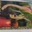 Dinosaurs Little Golden Book Jane Werner Watson Hardcover 1959 - TulipStuff