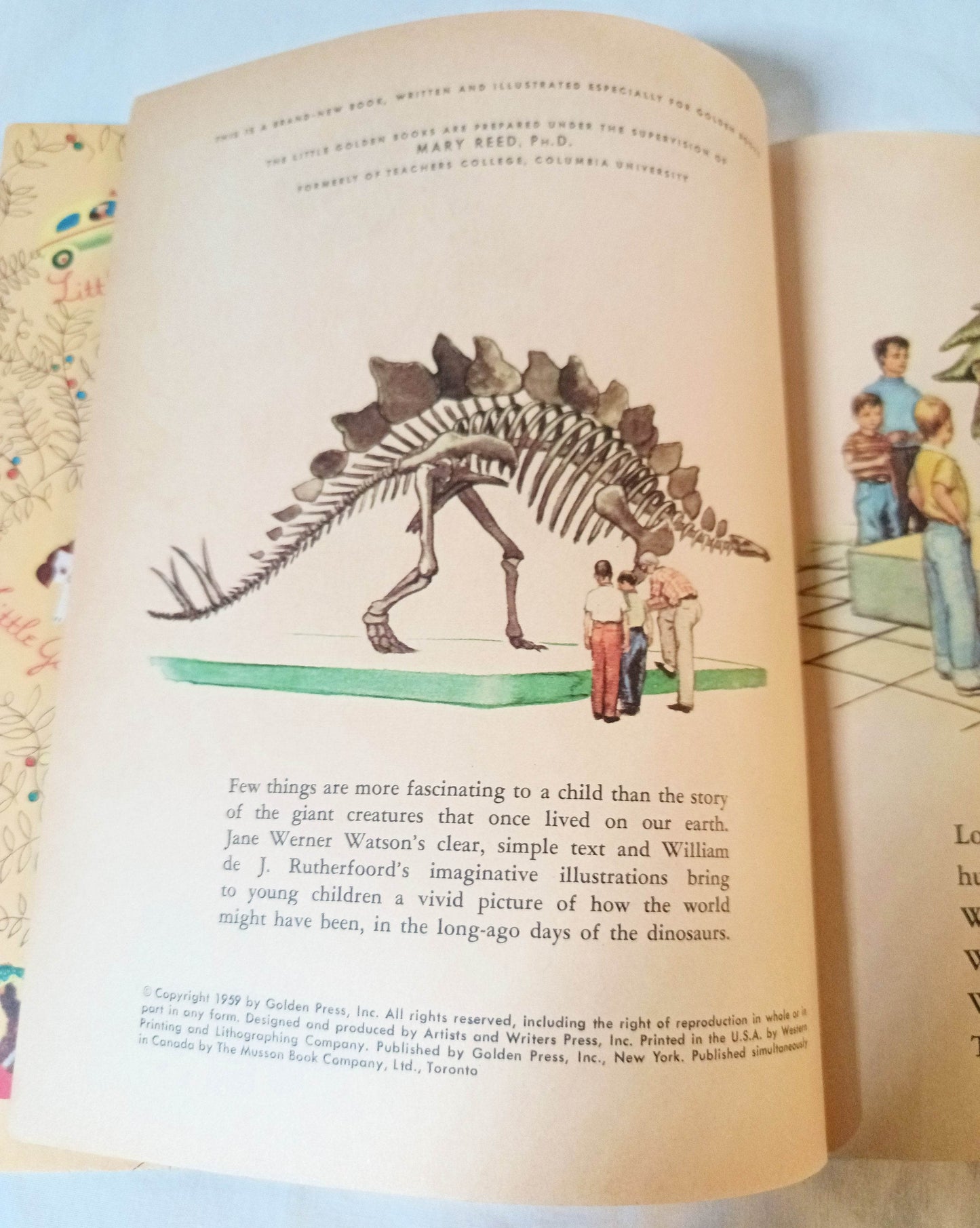 Dinosaurs Little Golden Book Jane Werner Watson Hardcover 1959 - TulipStuff
