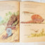 Dinosaurs Little Golden Book Jane Werner Watson Hardcover 1959 - TulipStuff