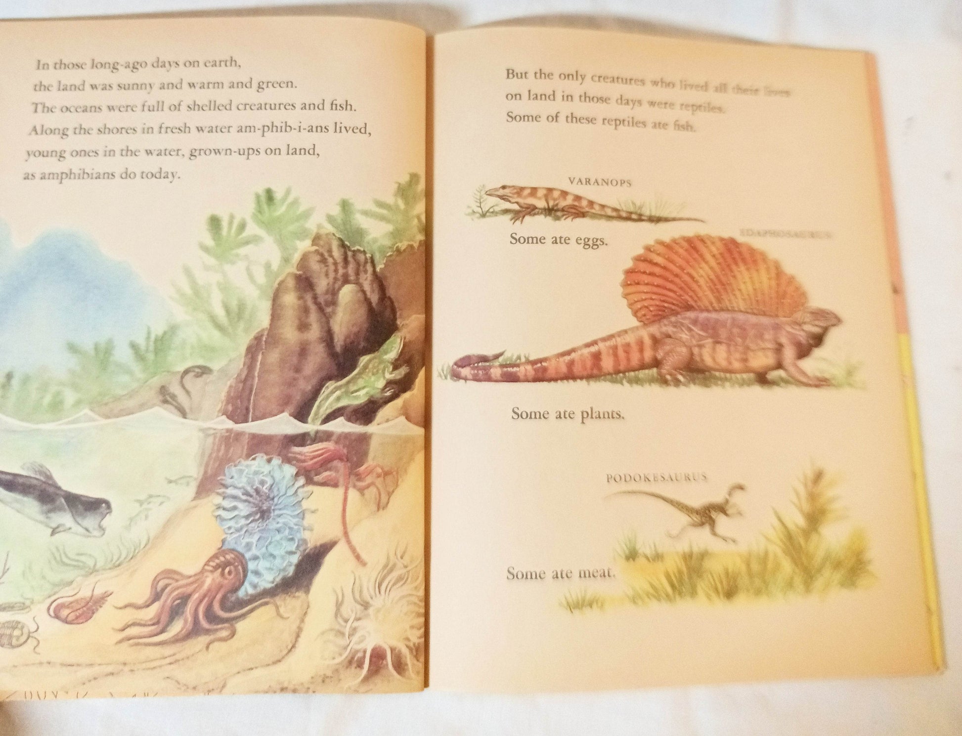 Dinosaurs Little Golden Book Jane Werner Watson Hardcover 1959 - TulipStuff