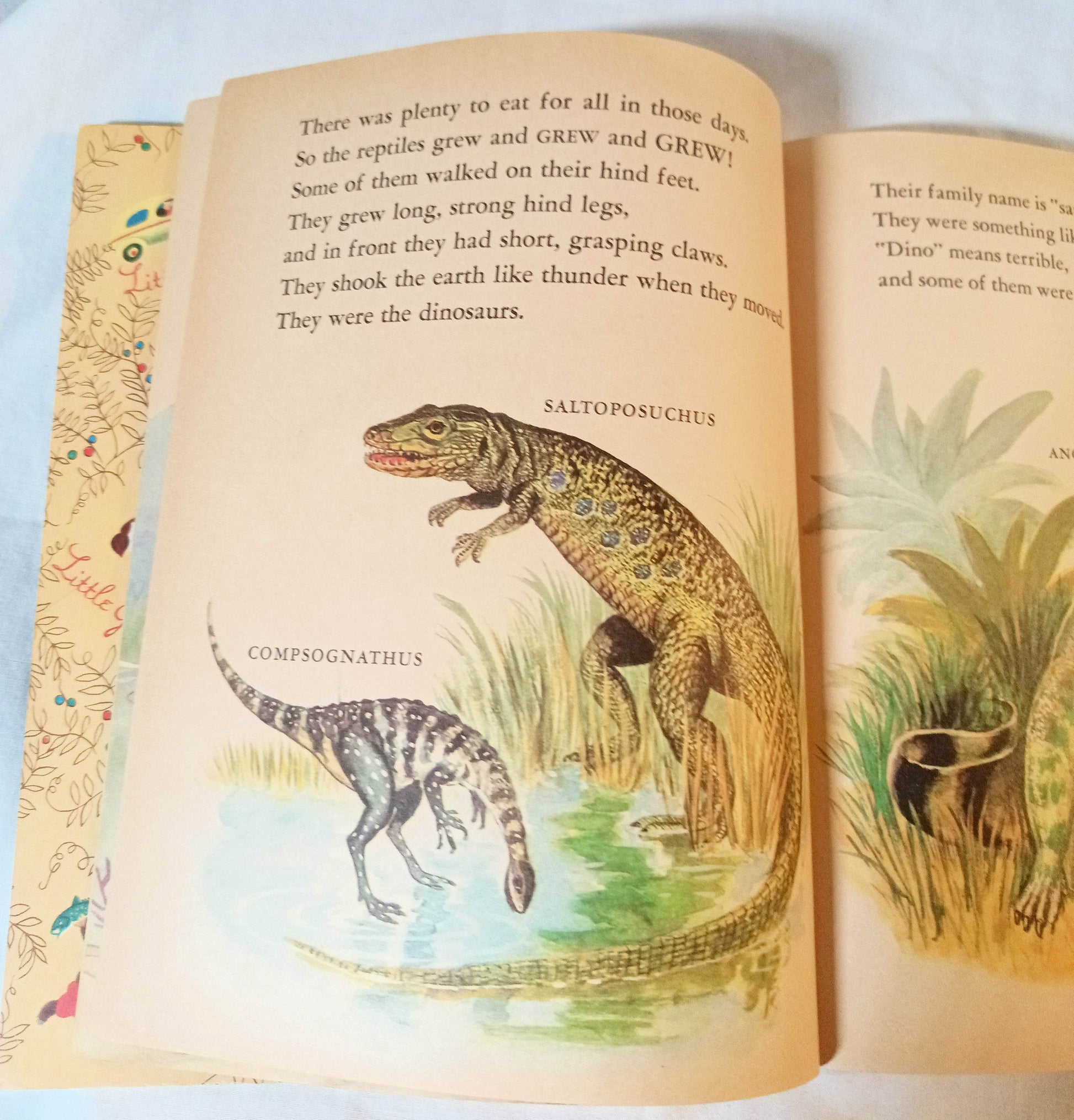 Dinosaurs Little Golden Book Jane Werner Watson Hardcover 1959 - TulipStuff