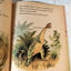 Dinosaurs Little Golden Book Jane Werner Watson Hardcover 1959 - TulipStuff