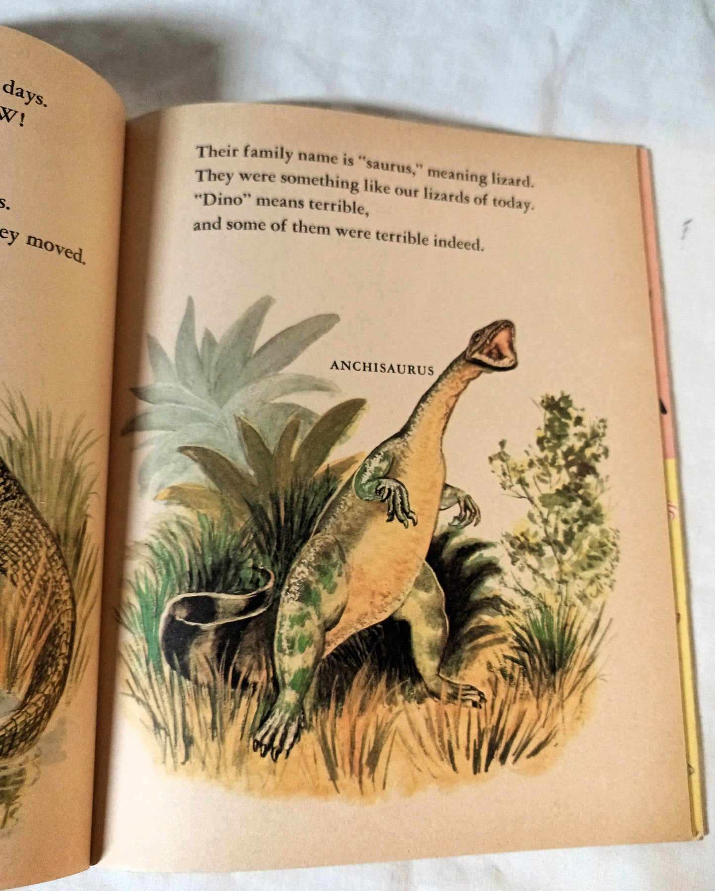 Dinosaurs Little Golden Book Jane Werner Watson Hardcover 1959 - TulipStuff