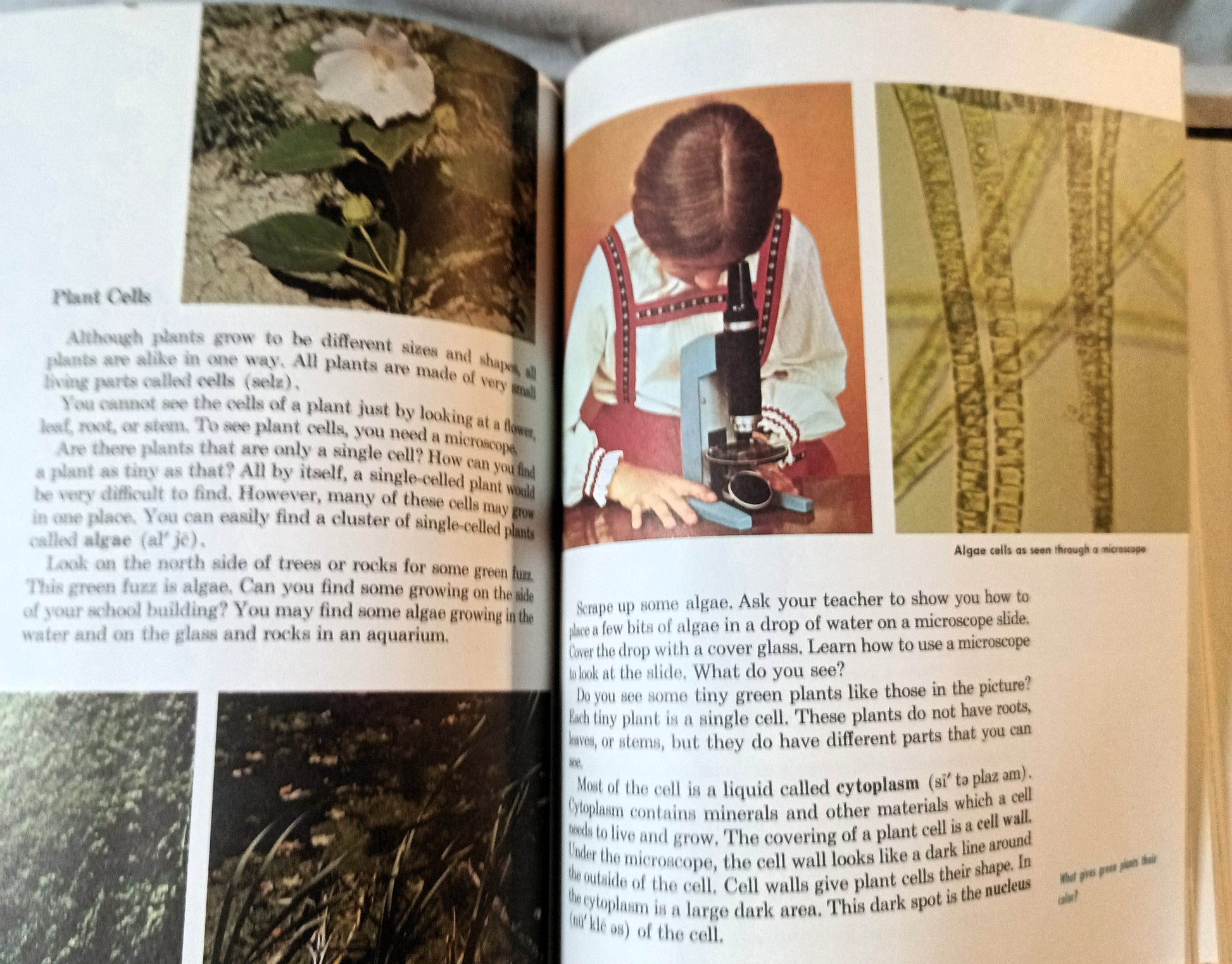 Discovering Science 6 6th Grade Textbook Piltz Van Bever 1970 - TulipStuff