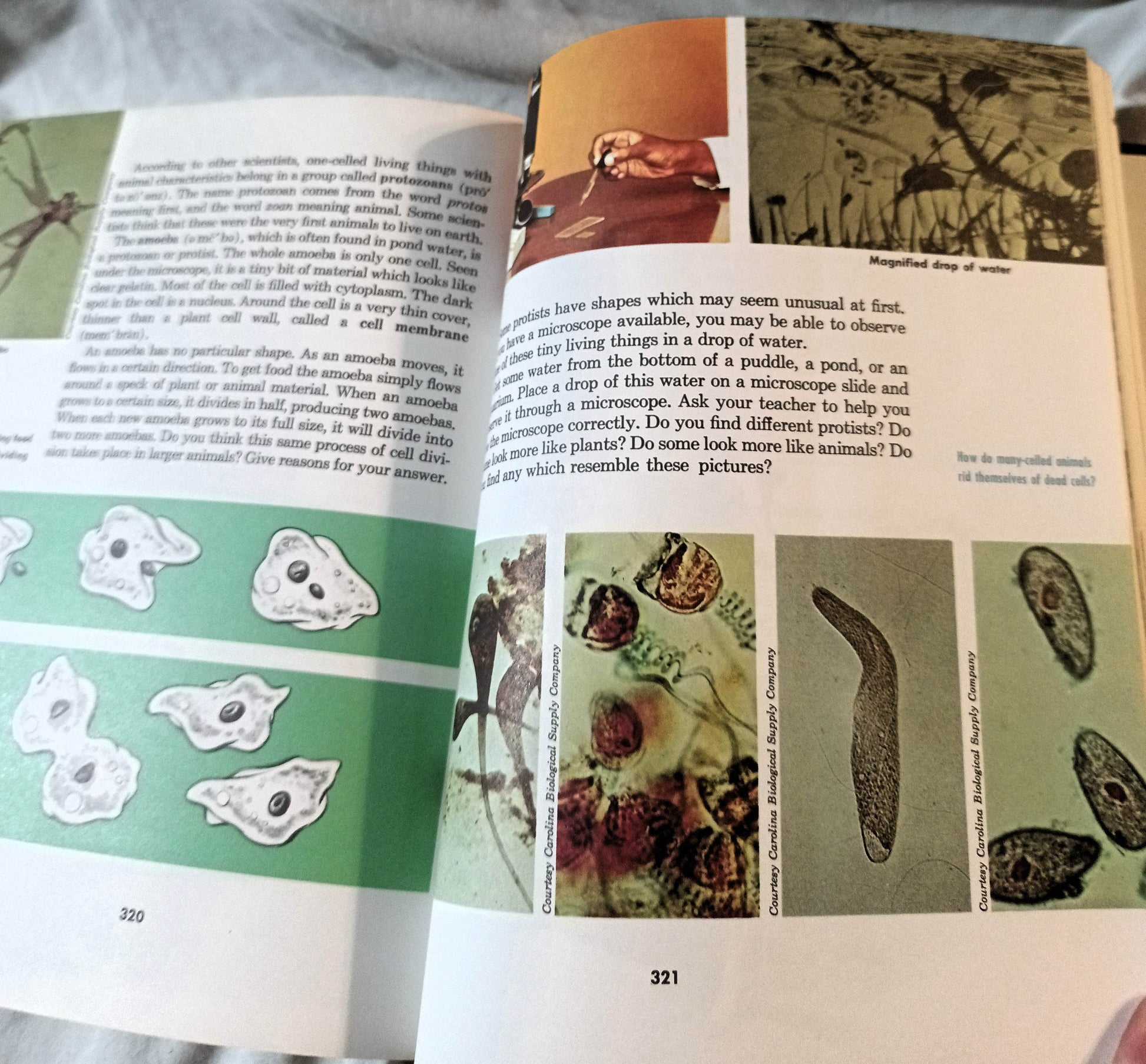 Discovering Science 6 6th Grade Textbook Piltz Van Bever 1970 - TulipStuff