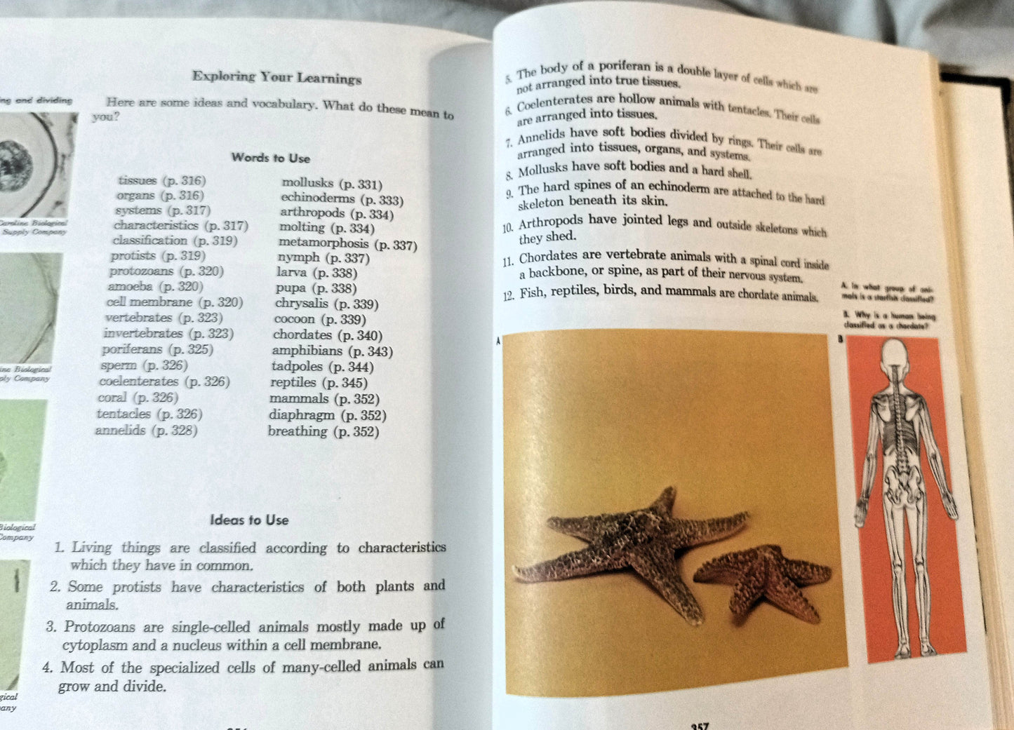 Discovering Science 6 6th Grade Textbook Piltz Van Bever 1970 - TulipStuff