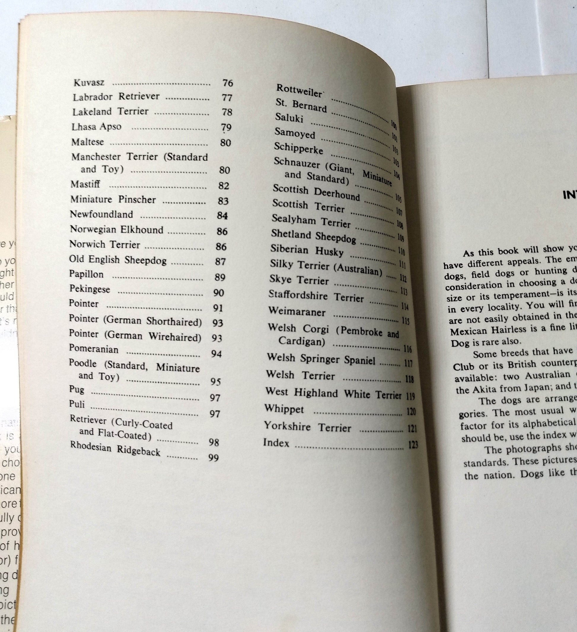 Dogs by Robert V Masters Galahad Books Hardcover 1966 - TulipStuff