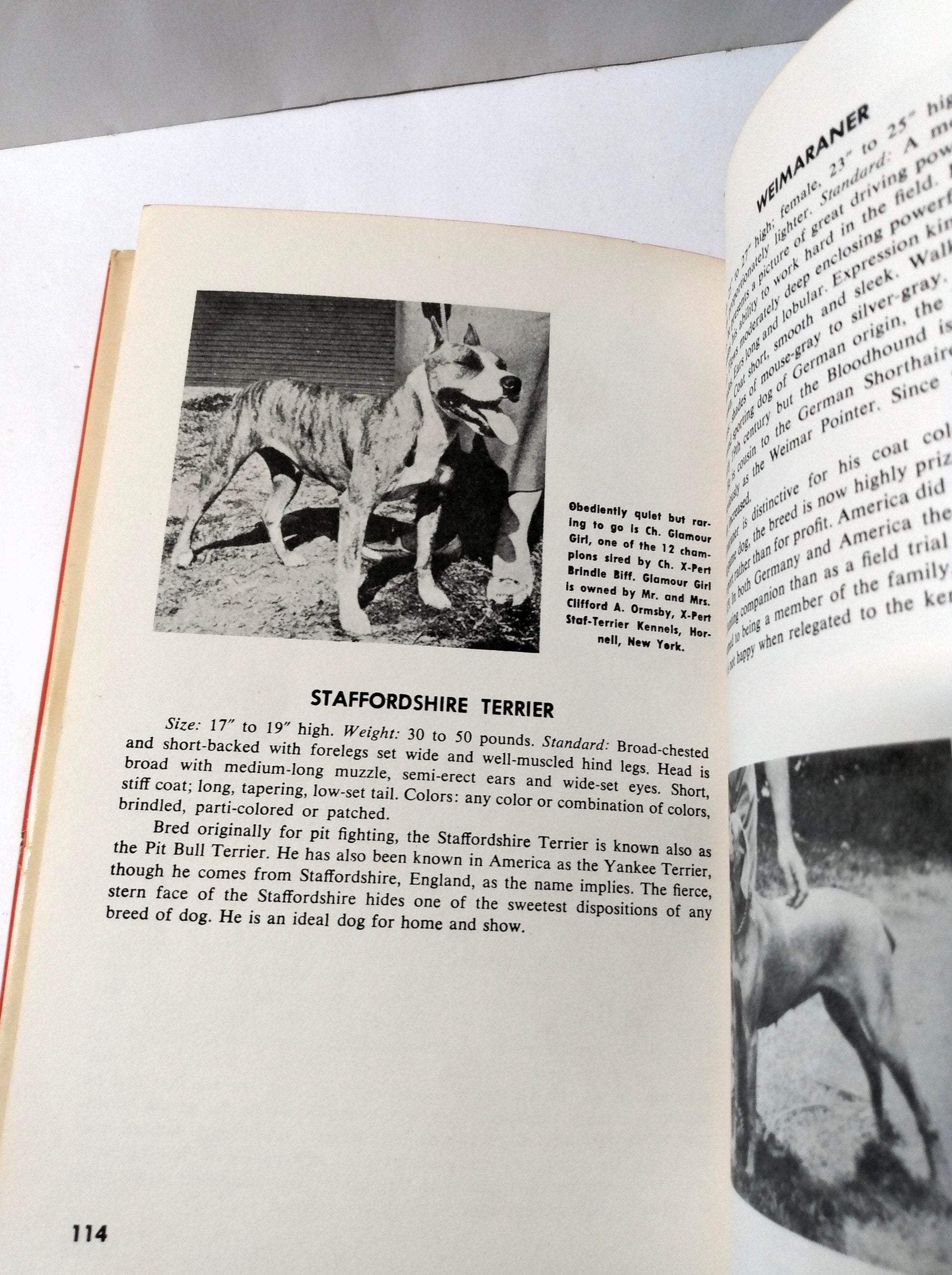 Dogs by Robert V Masters Galahad Books Hardcover 1966 - TulipStuff