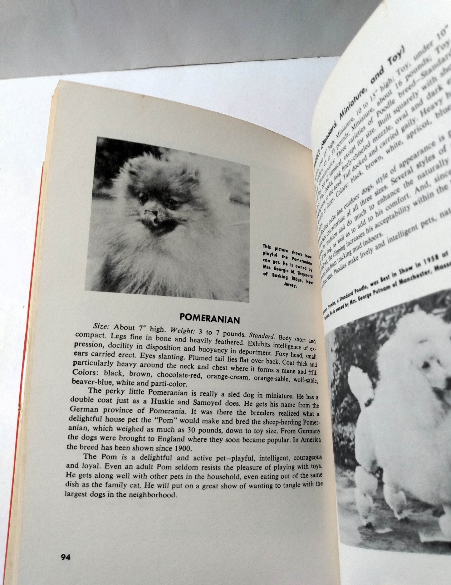 Dogs by Robert V Masters Galahad Books Hardcover 1966 - TulipStuff