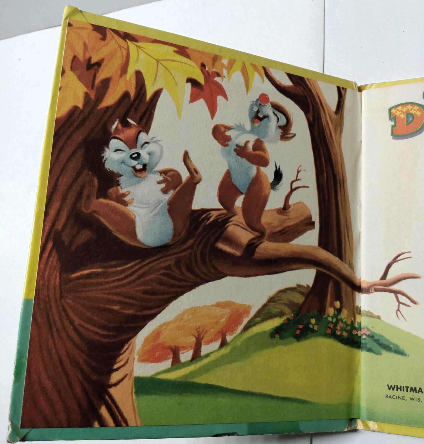 Walt Disney's Donald Duck An Chip N Dale Tell-A-Tale Hardcover 1954 - TulipStuff