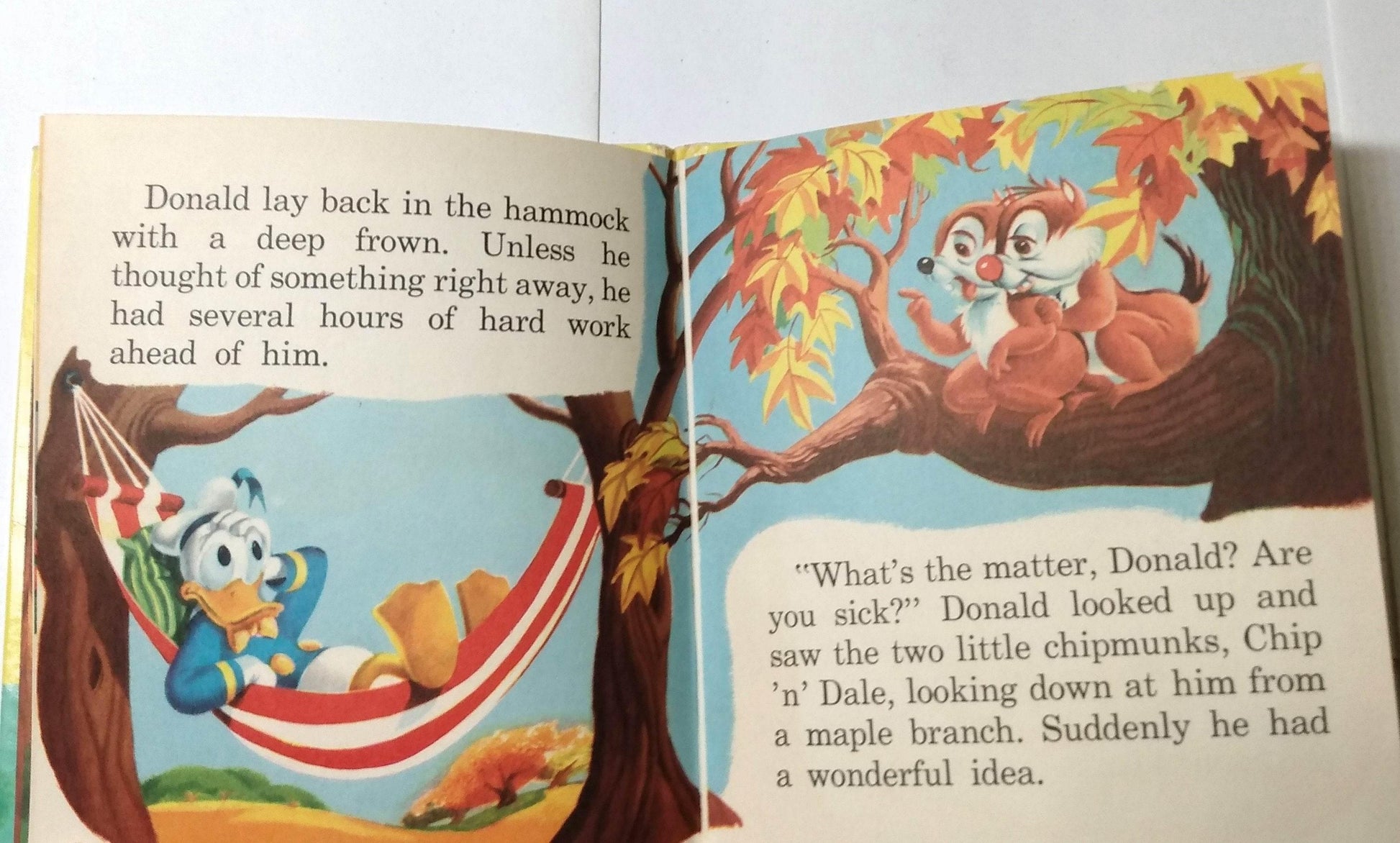 donald duck in hängematte Walt Disney's Donald Duck An Chip N Dale Tell-A-Tale Hardcover 1954 – TulipStuff
