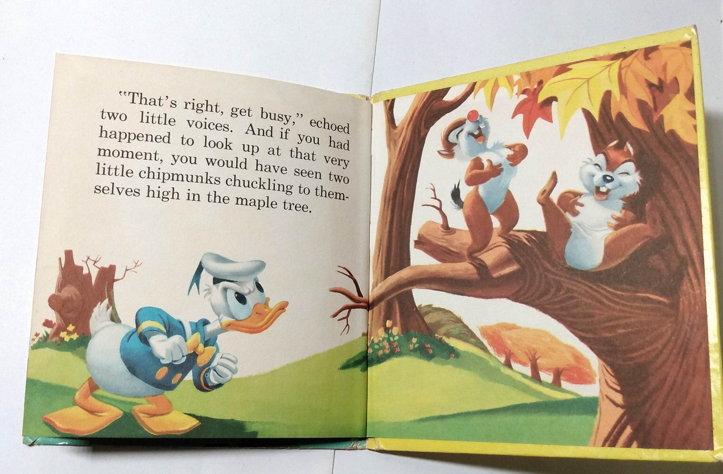 Walt Disney's Donald Duck An Chip N Dale Tell-A-Tale Hardcover 1954 - TulipStuff