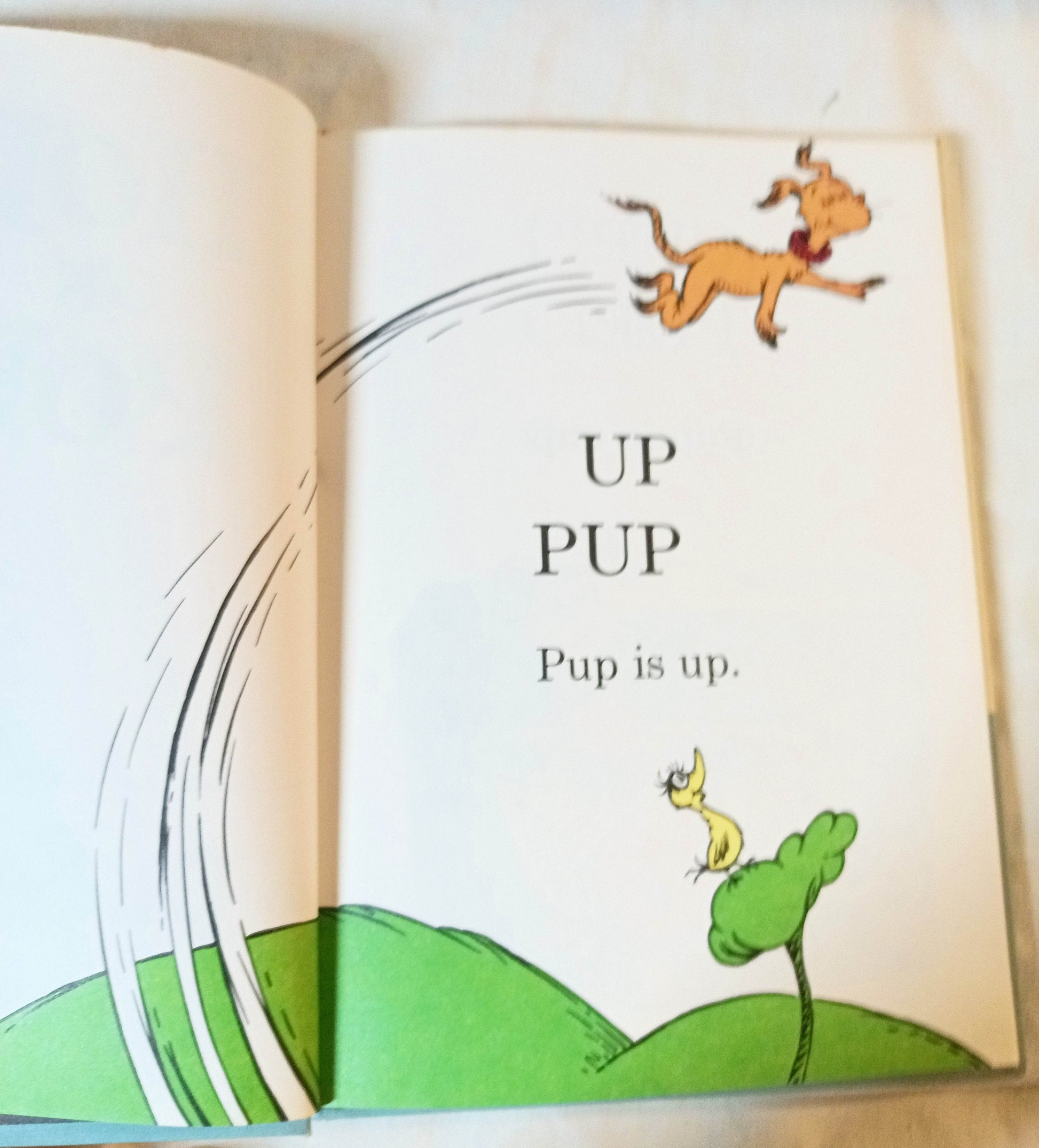 Dr Seuss Hop On Pop Beginner Books Book Club Edition 1963 - TulipStuff